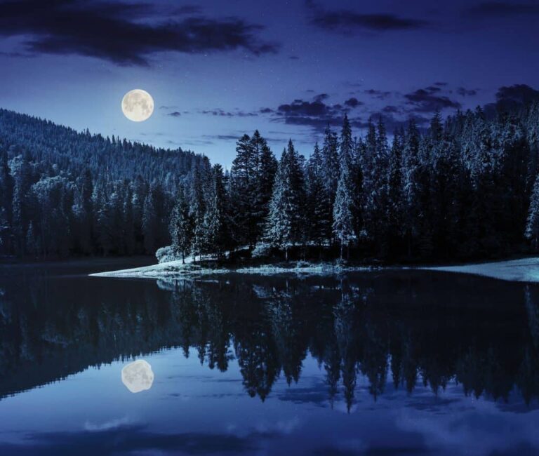 Is Fishing Better During a Full Moon