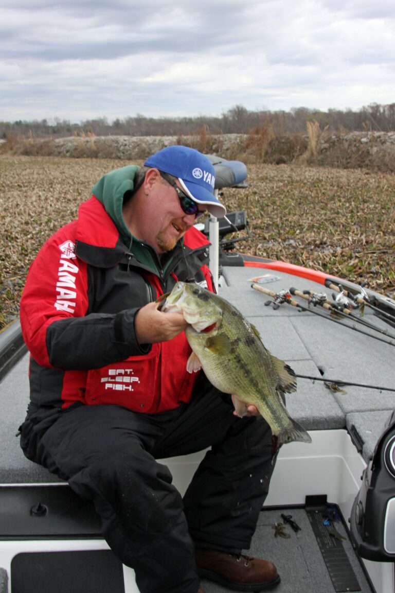 When to Fish a Chatter Bait
