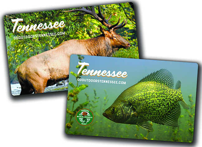 How Much is a Fishing License in Tennessee