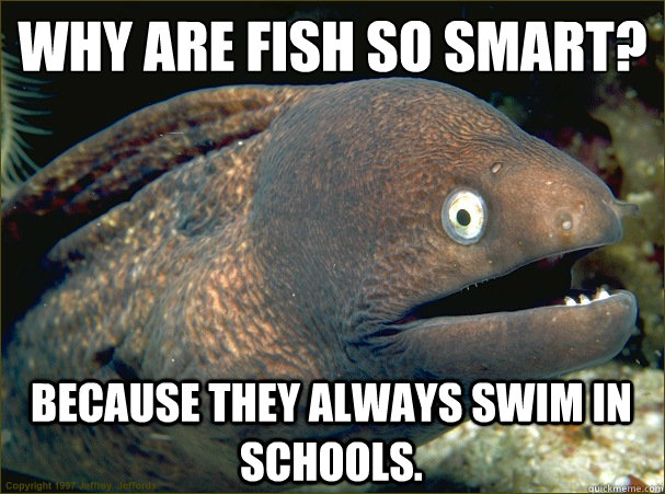 Why are Fish So Smart