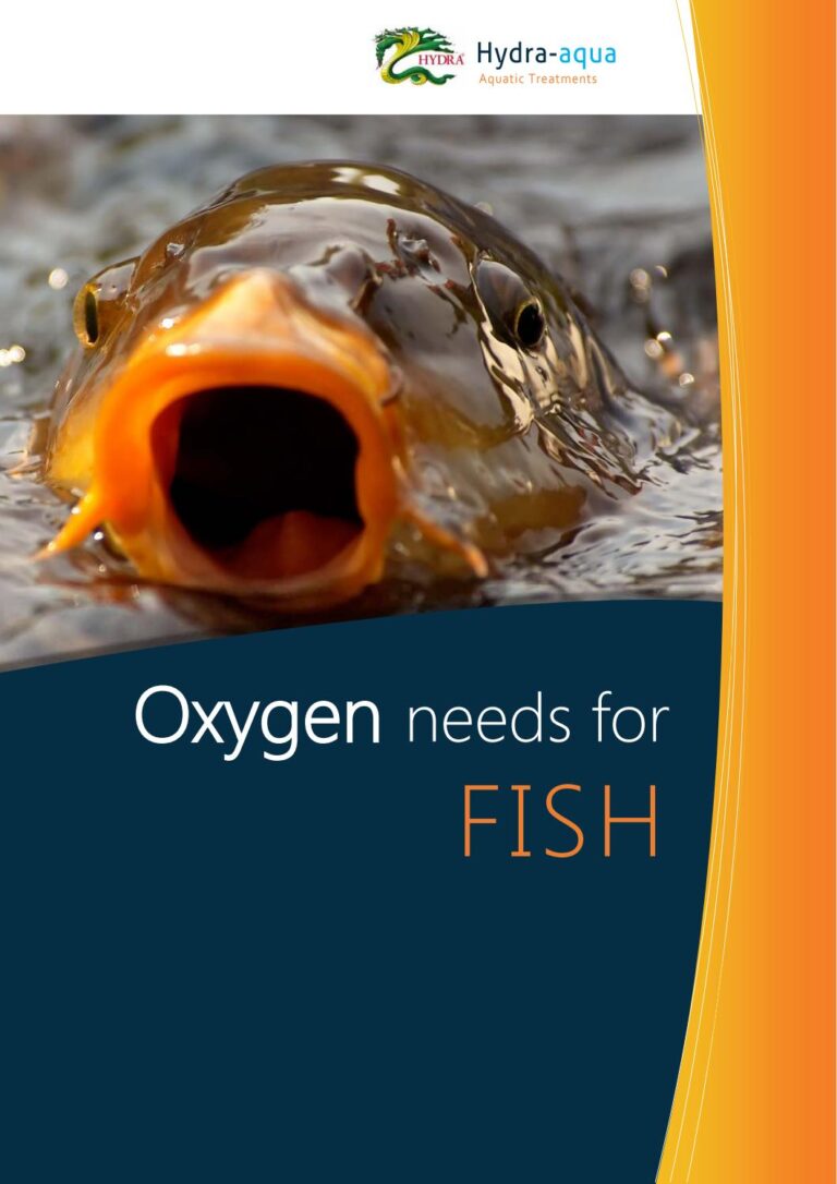 Why Do Fish Need Oxygen