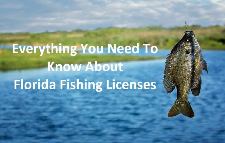 What Fishing License Do I Need in Florida