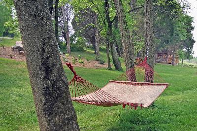 How Far Apart Should Trees Be for a Hammock